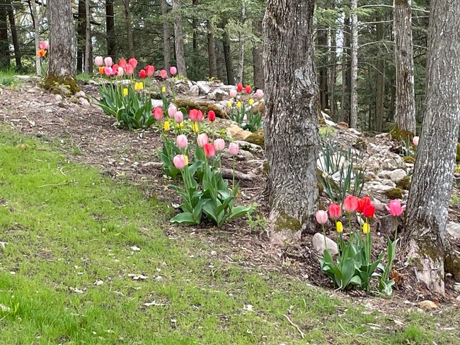 836 Beaver Creek Rd, House other with 4 bedrooms, 5 bathrooms and null parking in Shelburne VT | Image 35