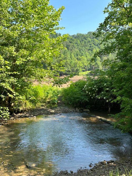 6164 Kyles Ford Hwy, Kyles Ford, TN, 37765-6254 | Card Image