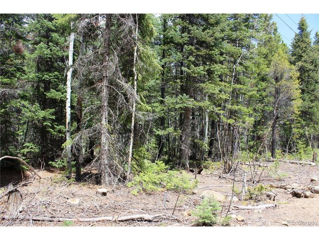 435 Aspen Rd, Home with 0 bedrooms, 0 bathrooms and null parking in Black Hawk CO | Image 15