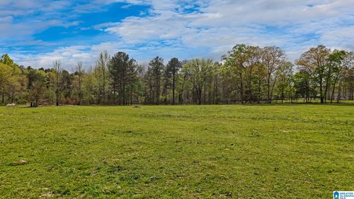 3237 Mud Creek Rd, Adger, AL, 35006-1137 | Card Image