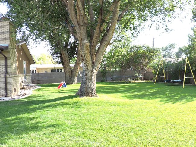Beautiful Backyard | Image 52