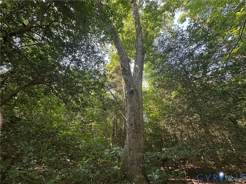 0-0 Kimages Rd, Charles City, VA, 23030 | Card Image