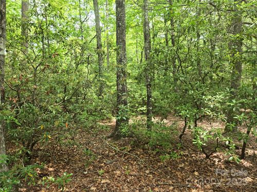Lot 11 Eagles Crest Way, Lake Lure, NC, 28746 | Card Image