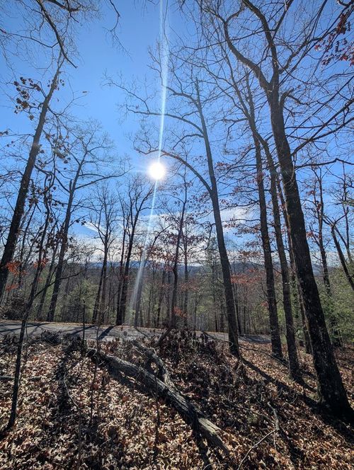 LOT 31 Tower Falls Lane, Hayesville, NC, 28904 | Card Image