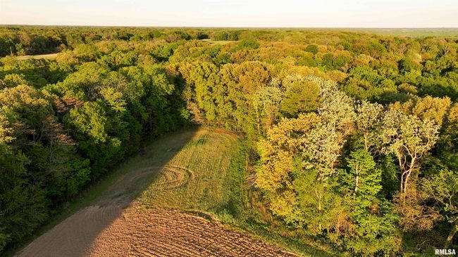 0 N Chambers Rd, Home with 0 bedrooms, 0 bathrooms and null parking in Smithfield IL | Image 11