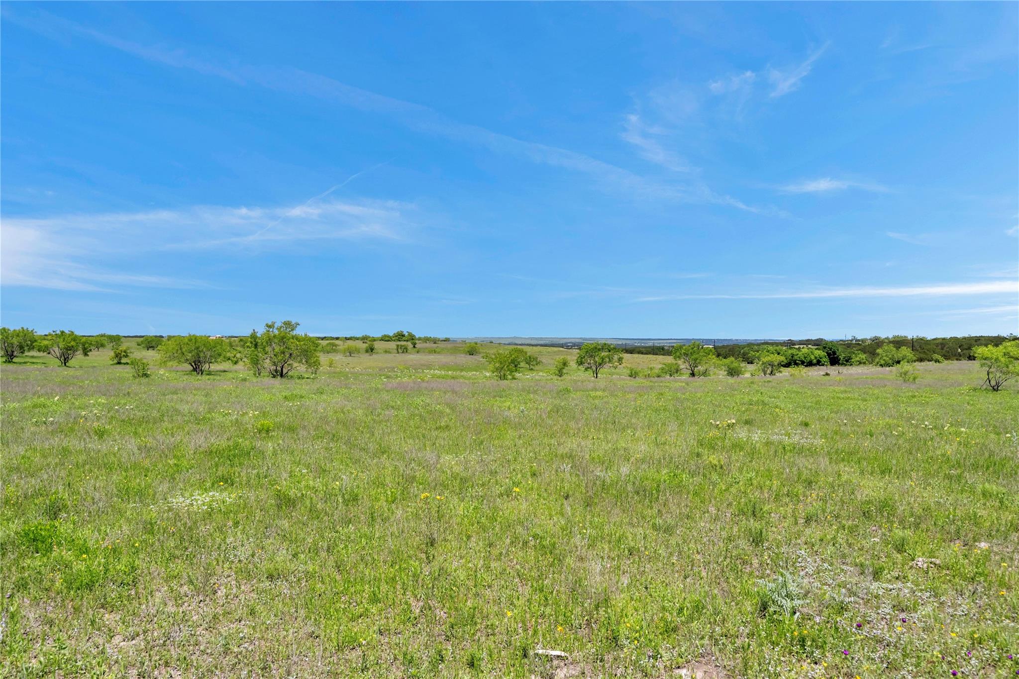 Farm in Burnet 2