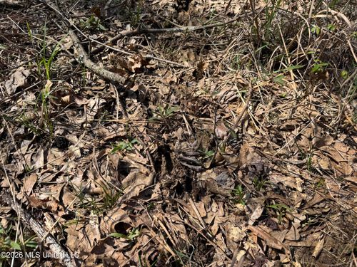 0 Circle Rd, Lexington, MS, 39095 | Card Image