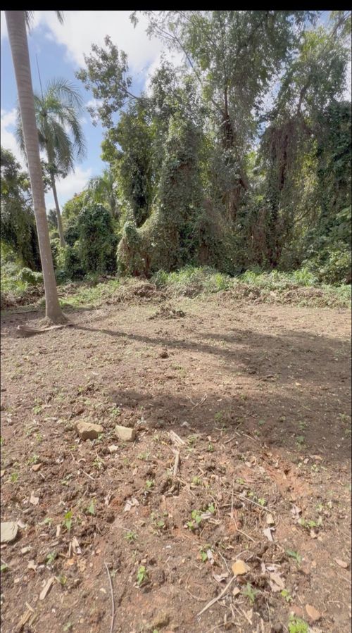 7-Solar Bo. Mariana, NAGUABO, PR, 00718 | Card Image