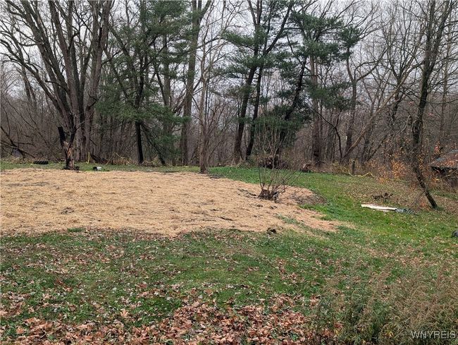3825 Creek Rd, Home with 0 bedrooms, 0 bathrooms and null parking in Chaffee NY | Image 8