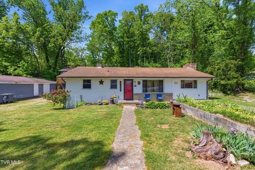 433 Mimosa St, Mount Carmel, TN, 37645-3941 | Card Image