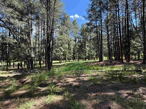 940 White Sands Cir, Angel Fire, NM, 87710-8302 | Card Image