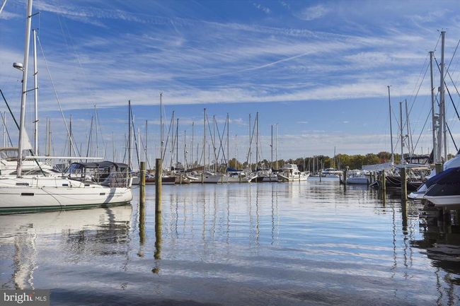 APT-202 - 1136 Cove Rd, Condo with 1 bedrooms, 1 bathrooms and null parking in ANNAPOLIS MD | Image 44