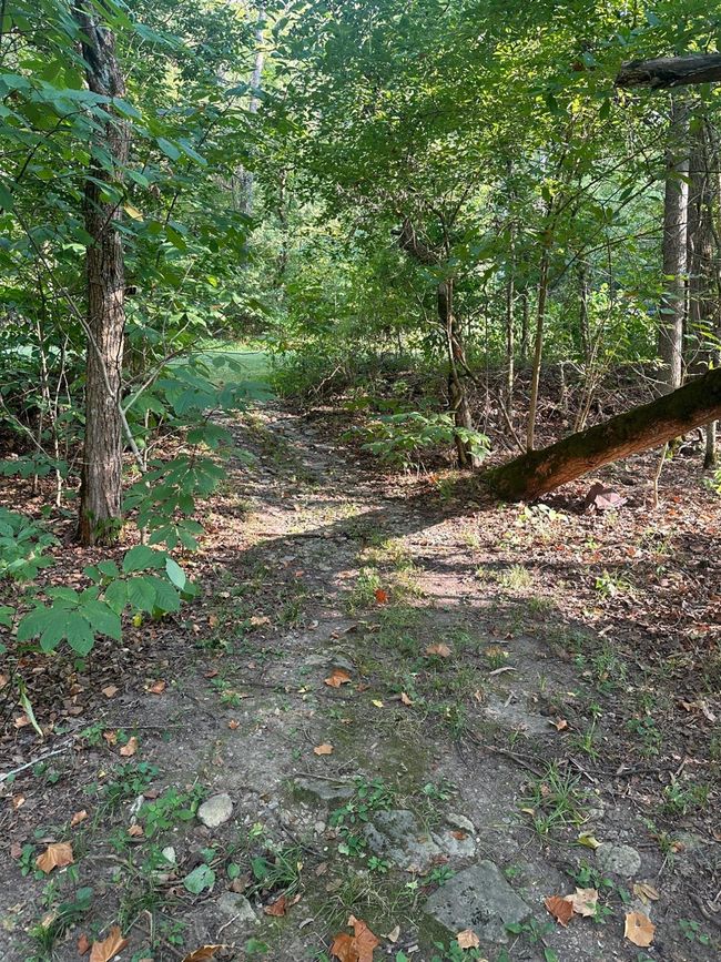 3896 Long Run Rd, Home with 3 bedrooms, 3 bathrooms and null parking in Vevay IN | Image 92