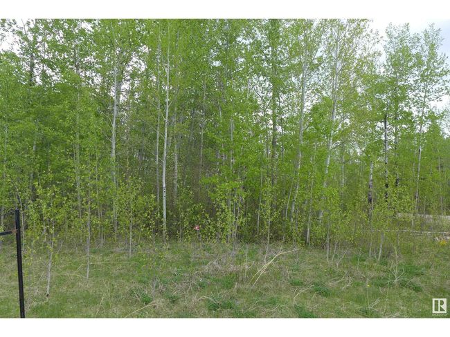 11032 Highway 13, Home with 0 bedrooms, 0 bathrooms and null parking in Westerose AB | Image 4