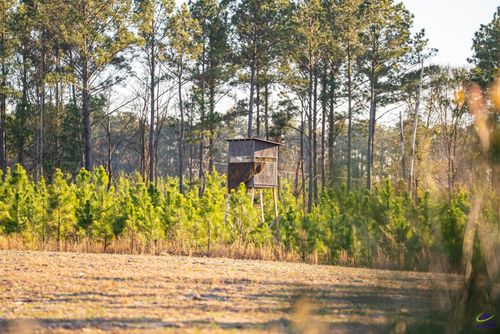 869 Chester Cochran Hwy, Chester, GA, 31012-2429 | Card Image