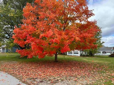 101 Fairview Avenue, Home with 0 bedrooms, 0 bathrooms and null parking in West Rutland VT | Image 1