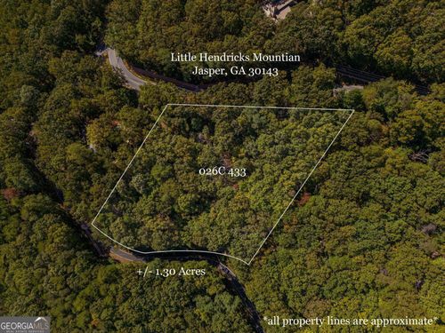 0 Little Hendricks Mountain Rd, Jasper, GA, 30143 | Card Image