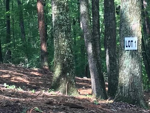 0 Piney Knob Dr, Spring City, TN, 37381 | Card Image