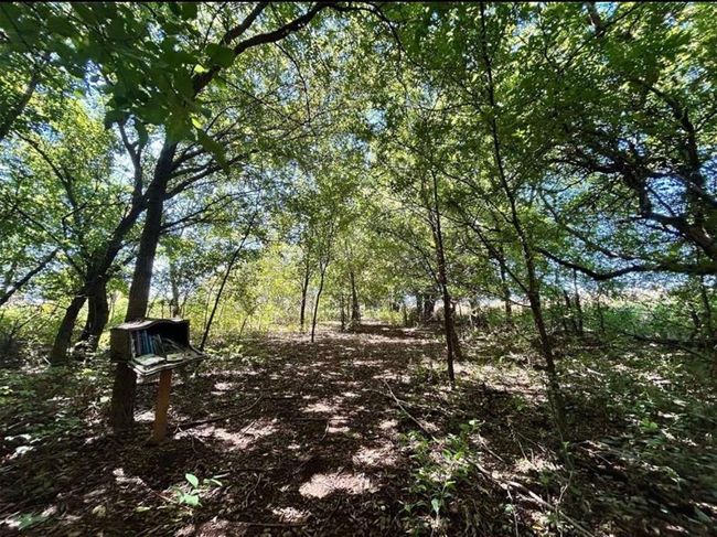 View of landscape | Image 8