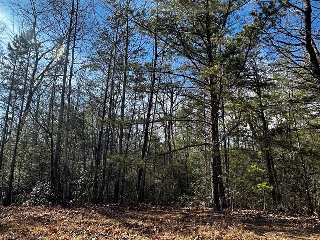 209 Casey Mountain Rd, Home with 0 bedrooms, 0 bathrooms and null parking in Purlear NC | Image 8