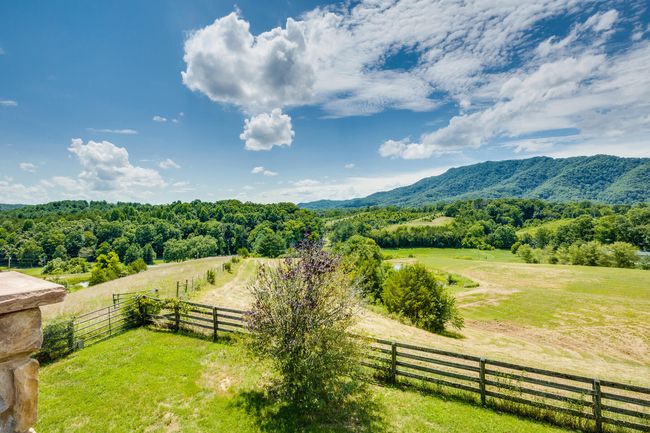 18325 Horton Hwy, House other with 5 bedrooms, 8 bathrooms and null parking in Fall Branch TN | Image 50