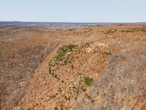 253 Daus Mountain Rd, Palmer, TN, 37365 | Card Image