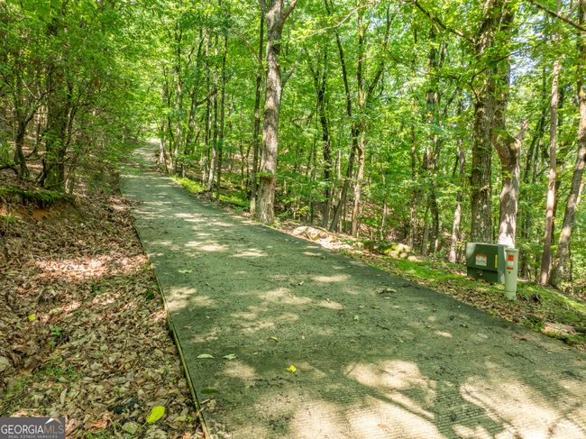 3.65AC Emory Stephens Rd, Home with 0 bedrooms, 0 bathrooms and null parking in Murrayville GA | Image 9