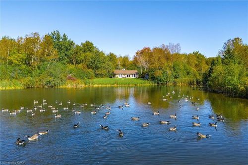 568 Black St, Fergus, ON, N1M0A3 | Card Image