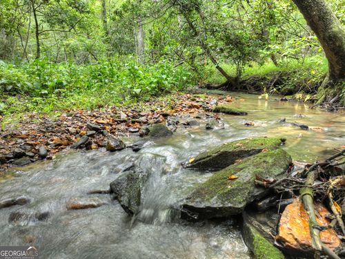 LOT 45 Synacia Dr, Mineral Bluff, GA, 30559 | Card Image