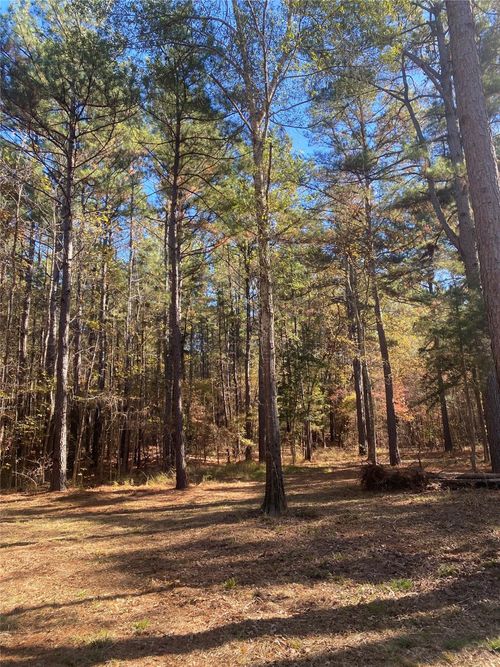 44 Acres State Hwy 64, Ben Wheeler, TX, 75754 | Card Image