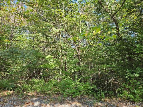 9488 Bent Tree Drive, Hillsboro, MO, 63050 | Card Image