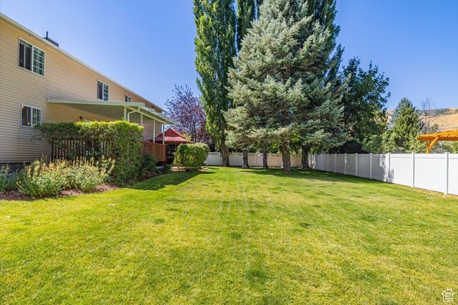 View of yard | Image 45