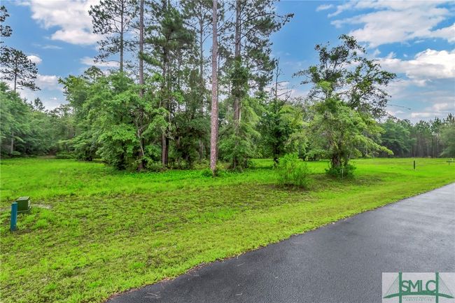 732 Coopers Point Dr Ne, Home with 0 bedrooms, 0 bathrooms and null parking in Townsend GA | Image 4
