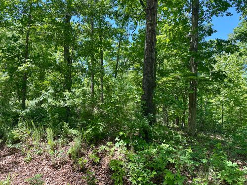000 Bass Rock Lot 3 Drive, Van Buren, MO, 63965 | Card Image
