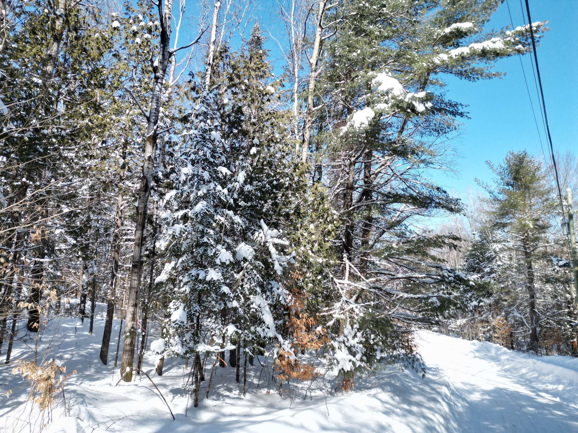 Land in Harrington 3