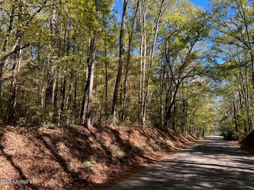 Xxx Wa Walker Rd, McComb, MS, 39648 | Card Image