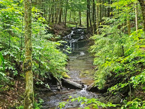 1953 Lapland Rd, Waterville, VT, 05492-9771 | Card Image