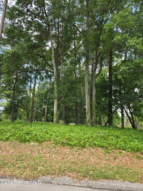 1629 Colonist Sq Sw, Ocean Isle Beach, NC, 28469-6507 | Card Image