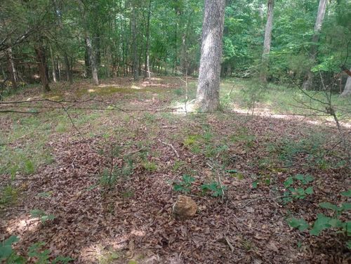 Off of Lawrence 106 Rd E, Ravenden, AR, 72459 | Card Image