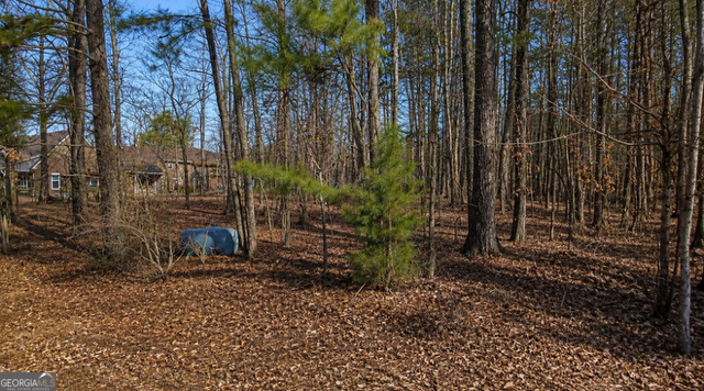Land in Greensboro 3