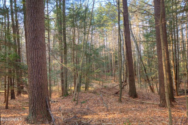 13 Rattlesnake Mtn Rd, Home with 0 bedrooms, 0 bathrooms and null parking in Stockbridge MA | Image 19