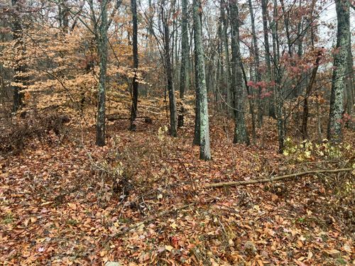 280 Timber Ridge; Lot 5 Drive, Kimball, TN, 37347 | Card Image