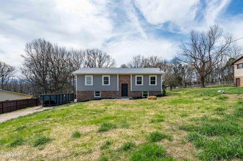 226 Dorothy Cir, Limestone, TN, 37681-2841 | Card Image