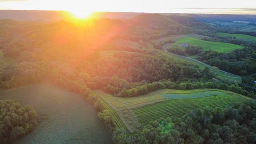 31509 Hickory Hill Rd, Arcadia, WI, 54612-8037 | Card Image