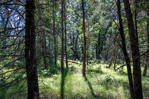 10.42 acres Kelsey Lane, Lyndon, WI, 53944 | Card Image