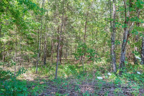 Lot 15 Meadow Crossing Drive, Rutherfordton, NC, 28139 | Card Image