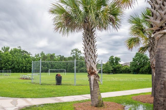 Neighborhood Soccer Field | Image 31