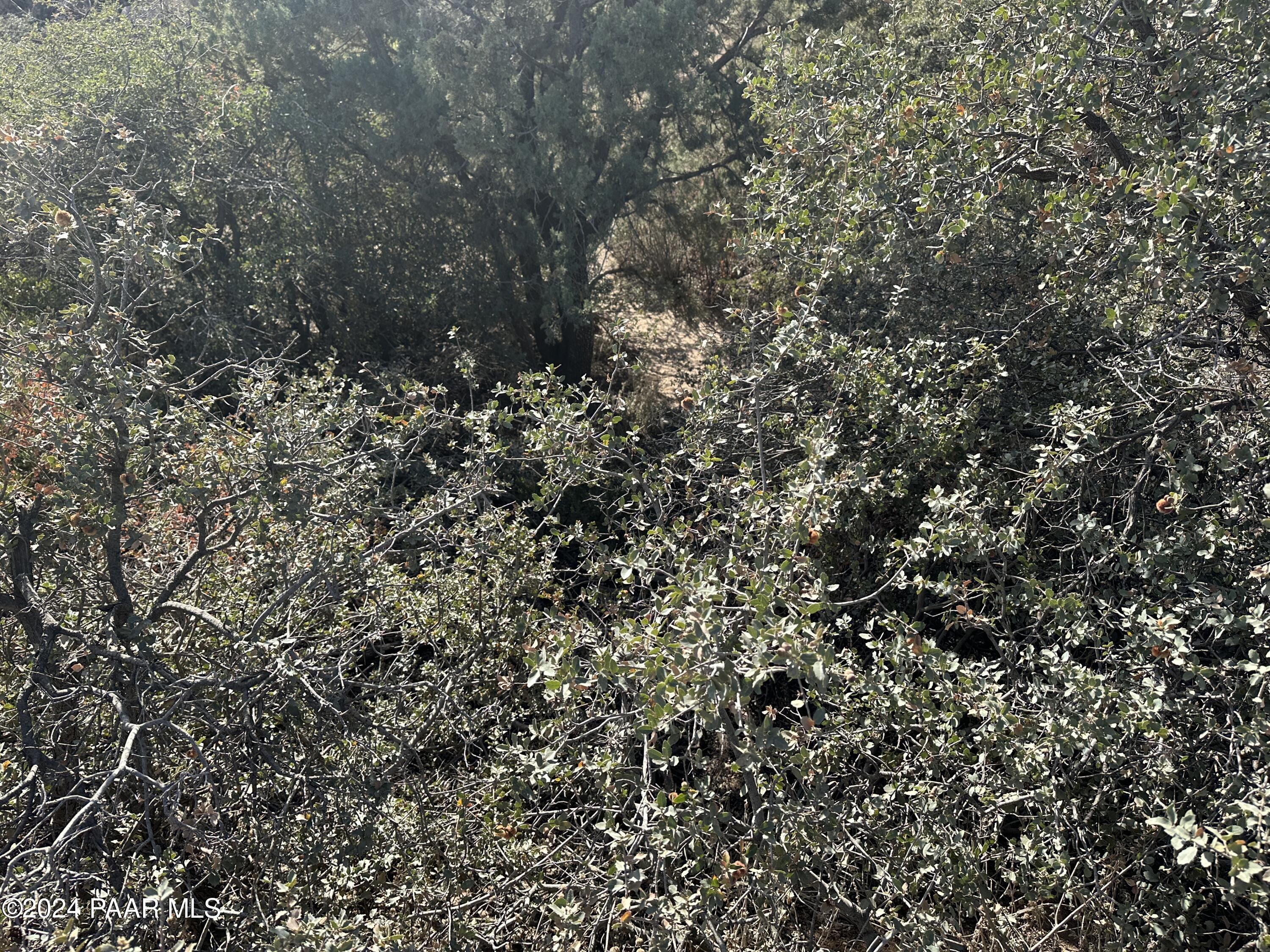 Land in Dewey-Humboldt 4