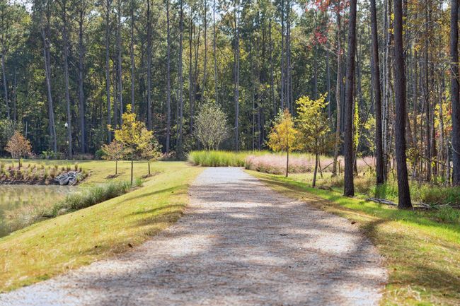 walking trail | Image 19