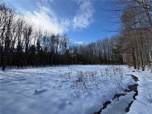 0 Carpenter Road, Evans, NY, 14006 | Card Image